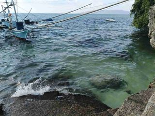 7305sqm clean title lot for sale in Tabalong Dauis Panglao with cave 2500 per sqm walking distance to the ocean