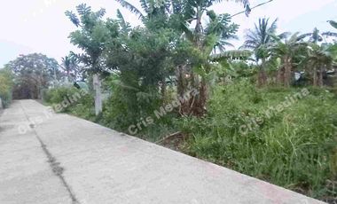 Farm/Residential Lot for Sale in Barangay Minantok Silangan Amadeo Cavite