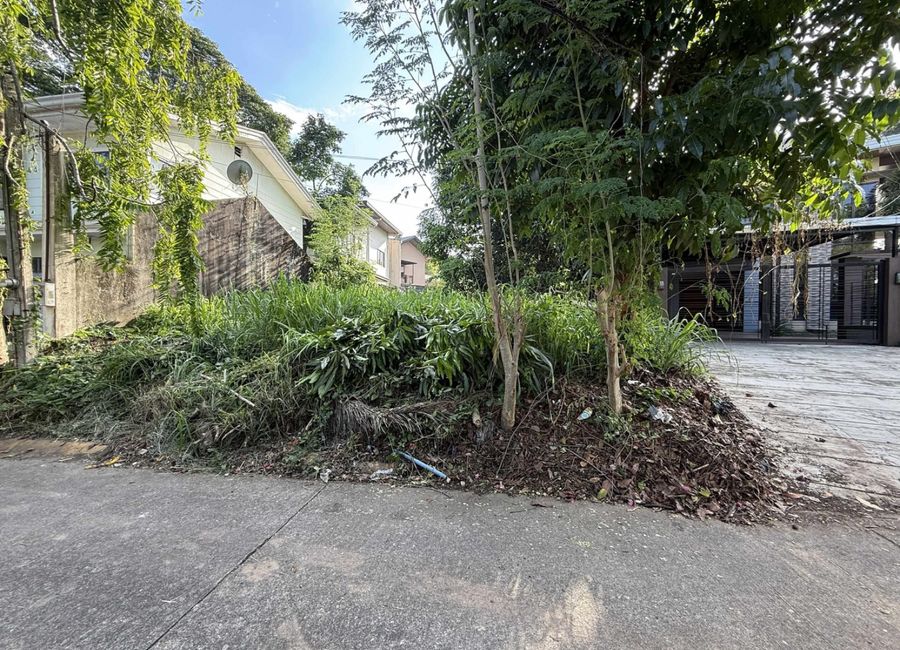 Hailey Street, Filinvest Homes II, Bagong Silangan, 2nd District, Quezon City, Eastern Manila District image 2
