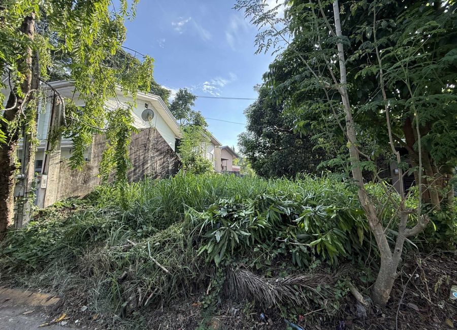 Hailey Street, Filinvest Homes II, Bagong Silangan, 2nd District, Quezon City, Eastern Manila District image 3