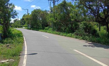 820sqm. Residential Lot Main Road Clean Title Trece Martires Cavite