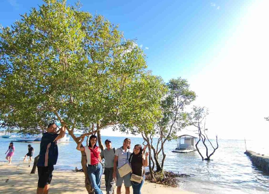 place photo 9