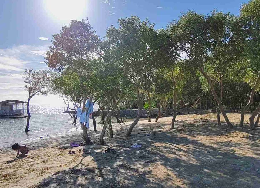 place photo 10