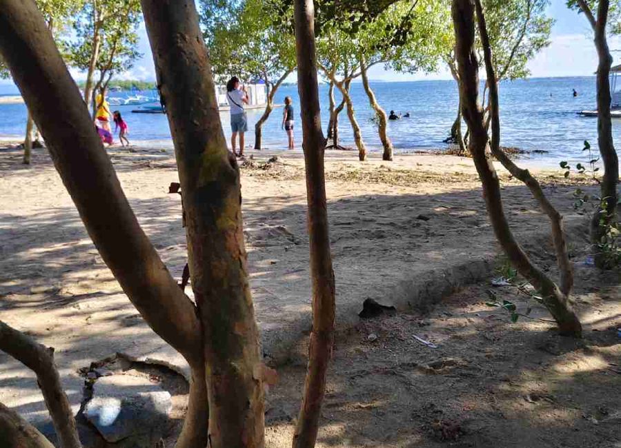 place photo 15