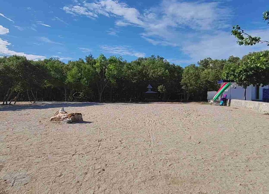 place photo 18
