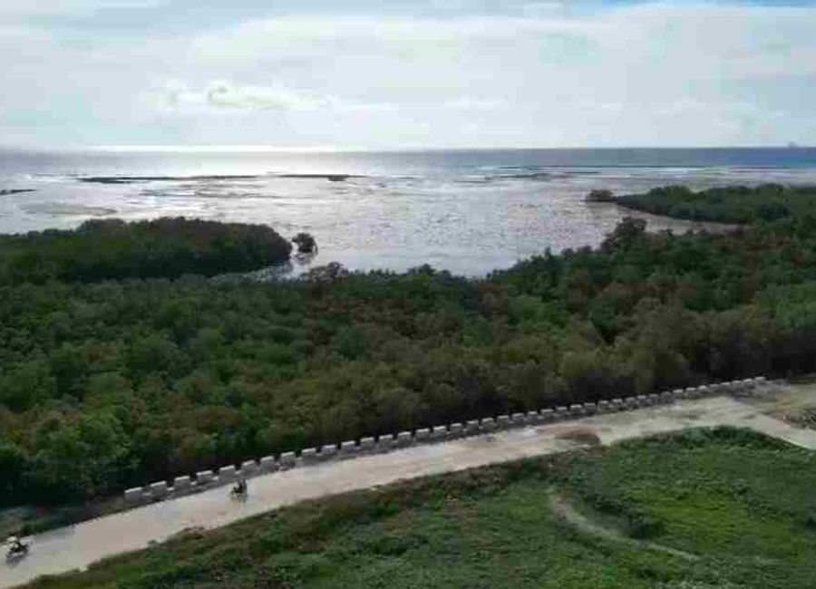 place photo 32