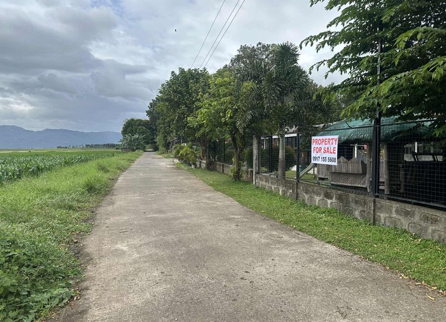 General Luna Street, Wawa, Lumban, Laguna