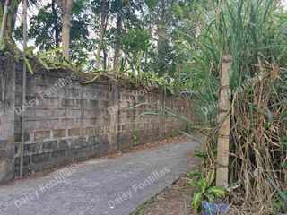 150sqm Residential Lot in Amadeo-Tagaytay