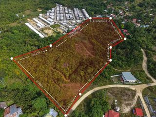 Development Land for Sale - 3 Hectares - Tagbilaran City, Bohol