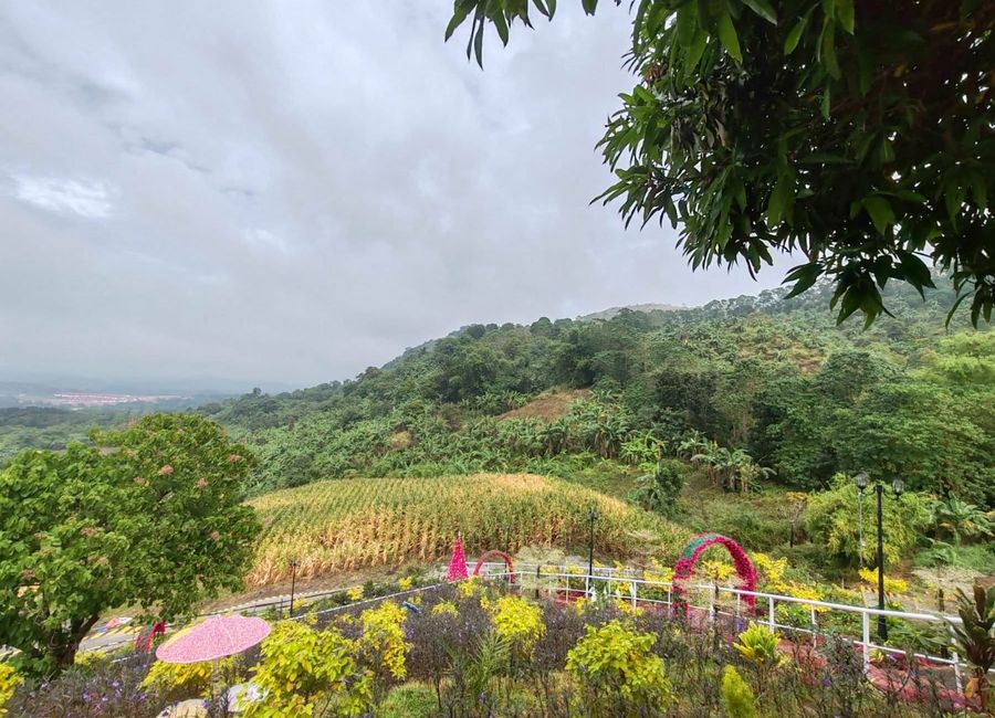Bagumbayan, Pililla, Rizal