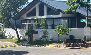 For Sale Single Storey Modern Smart Home in Paranaque City