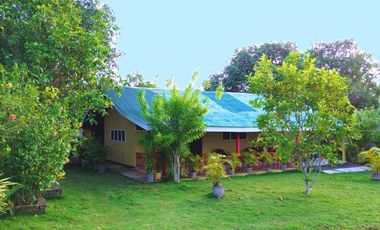Top 6 Affordable Houses For Sale on Camotes Islands, Cebu