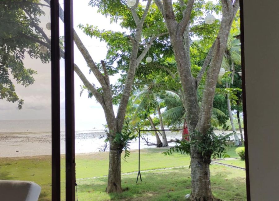 place photo 34