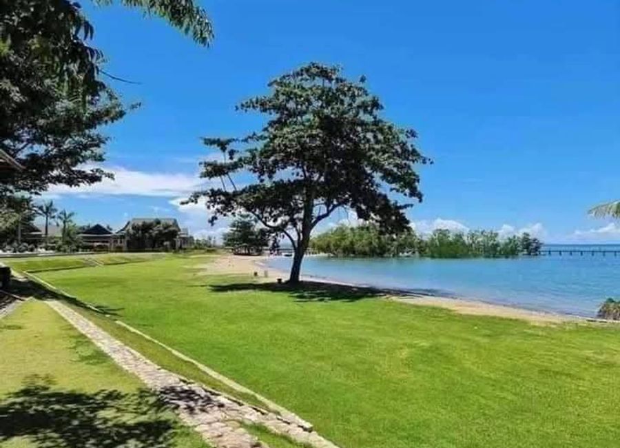place photo 26