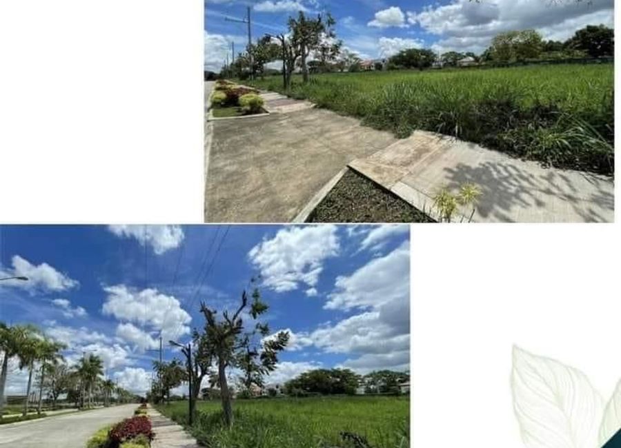Dintano Street, Santo Domingo, Santa Rosa, Laguna image 3