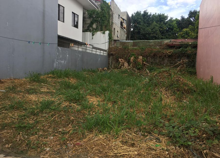 Session Road, Pines Executive Village, San Roque, Antipolo, Rizal image 2