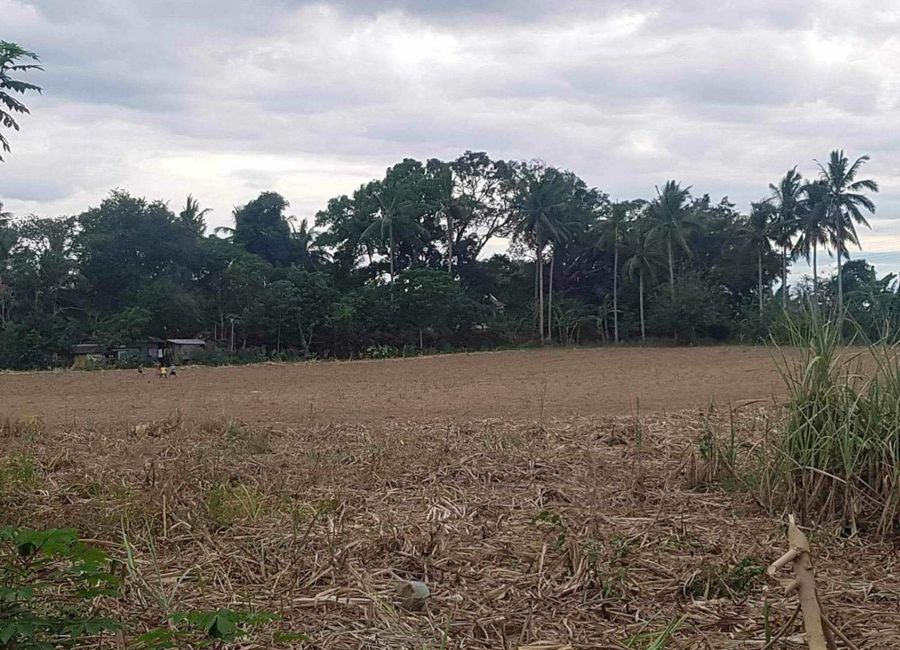 Lipa - Ibaan Provincial Road, Talaibon, Santo Niño, Ibaan, Batangas image 2