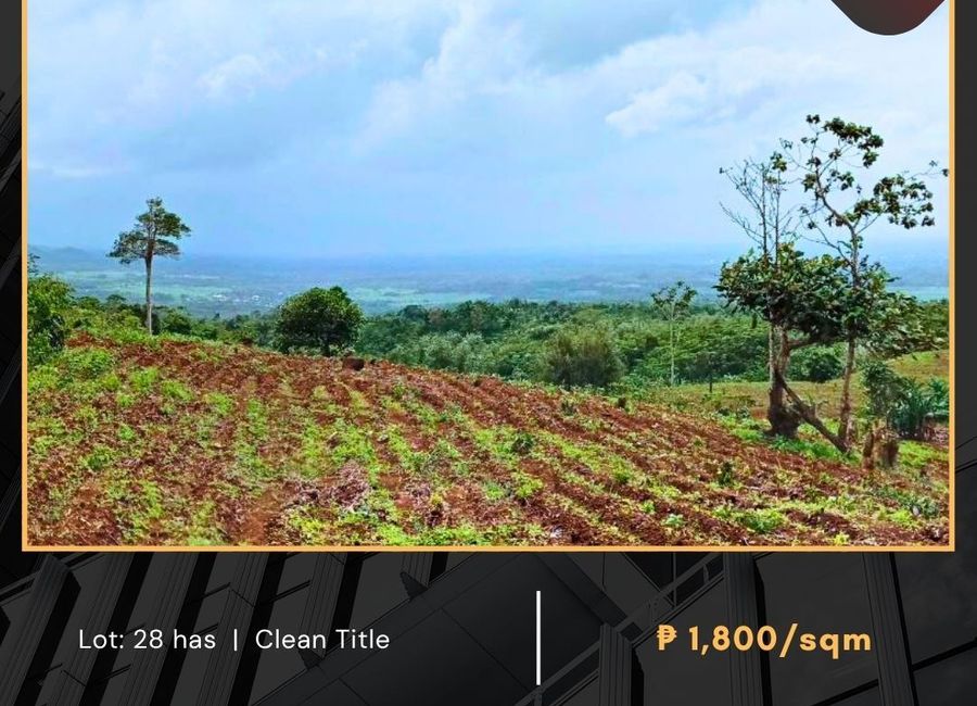 Ilasan Ibaba, Tayabas, Quezon