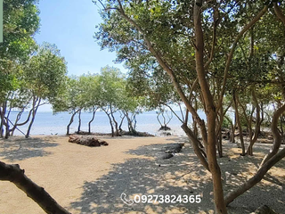 200sqm Residential Lot for Sale in Calatagan Batangas