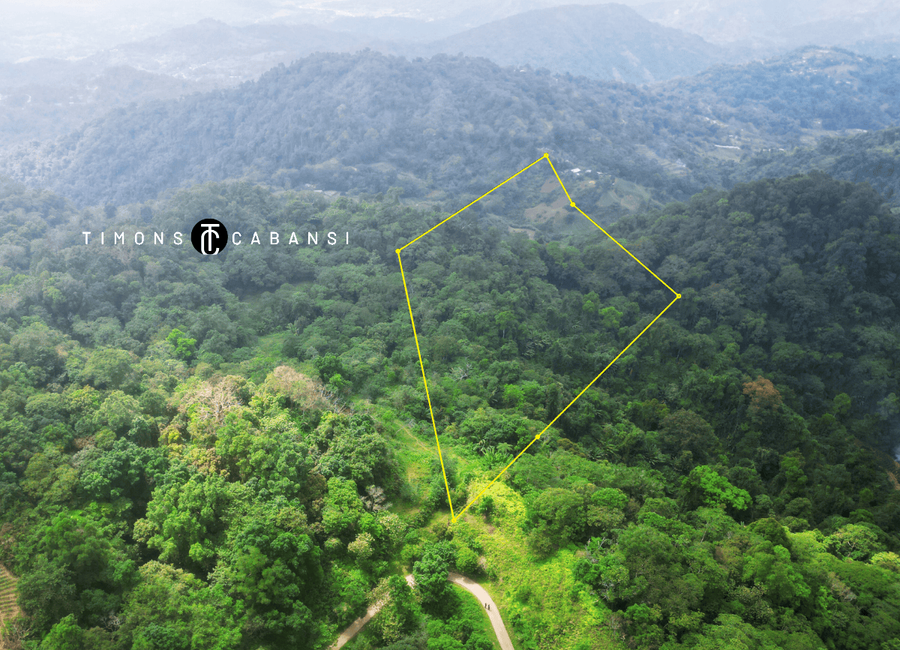 2.5-Hectare Raw Land in Sablan, Benguet – Build Your Farm or Agri ...