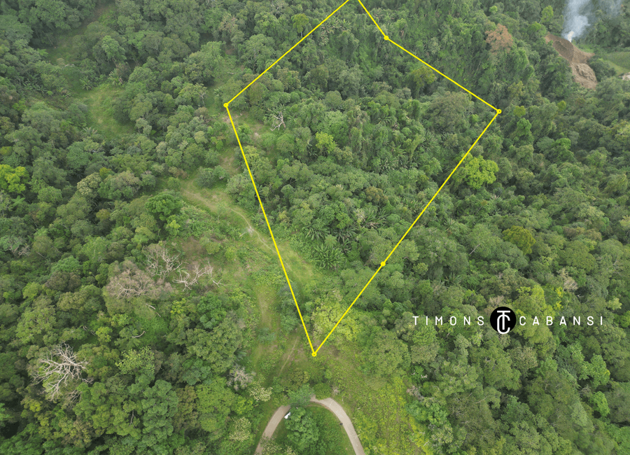 2.5-Hectare Raw Land in Sablan, Benguet – Build Your Farm or Agri ...