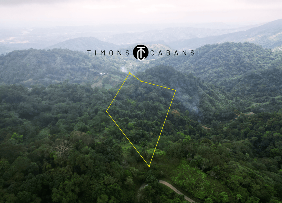 2.5-Hectare Raw Land in Sablan, Benguet – Build Your Farm or Agri ...