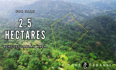 2.5-Hectare Raw Land in Sablan, Benguet – Build Your Farm or Agri-Tourism Dream!