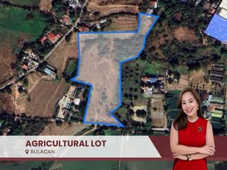 ‼️ RUSH SALE! 🔥 Massive 17,406 sqm Agricultural Lot for Sale in Bulacan City | Ideal for Warehouse or Factory