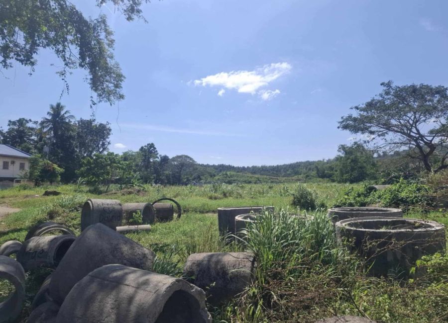 Antipolo del Sur, Lipa, Batangas image 3