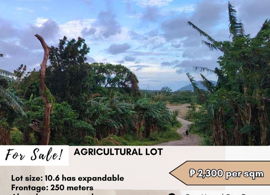 Mercedes Homes, San Miguel, Santo Tomas, Batangas