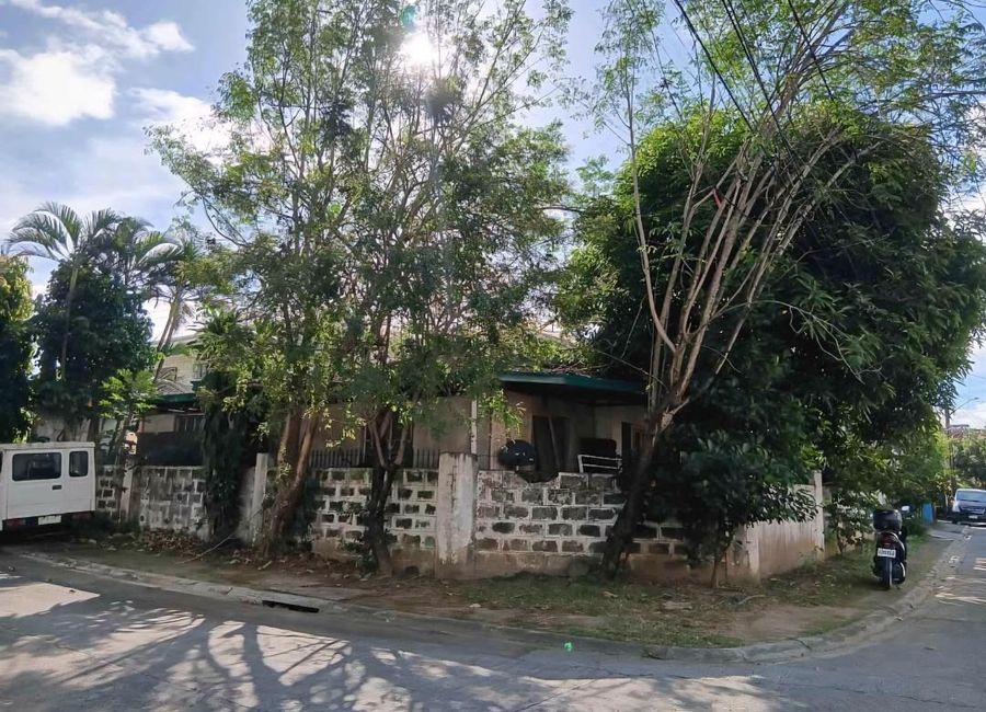 Doña Justina Avenue, Mayamot, Antipolo, Rizal image 2