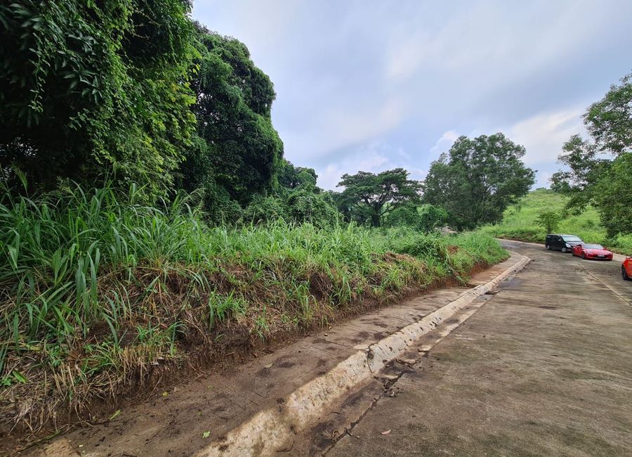 Crown Alley, Dela Paz, Antipolo, Rizal