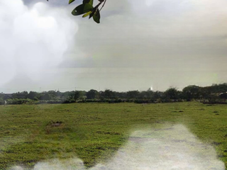 FOR SALE - Agricultural Land in Santa Maria, Bulacan