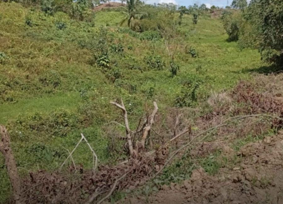 Quinao, Montalban, Rizal