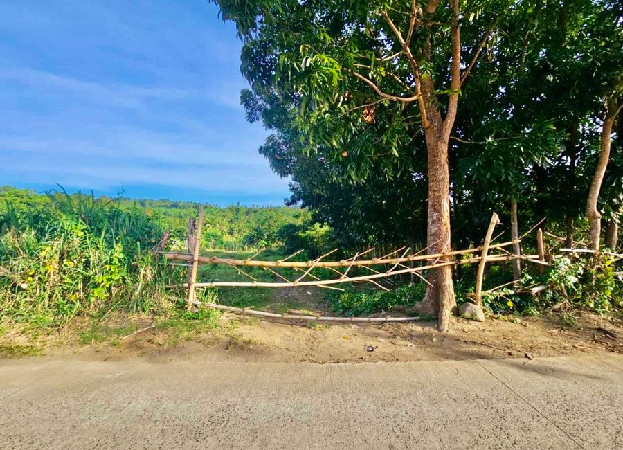 Mabini Avenue, Barangay 5, Tanauan, Batangas image 2