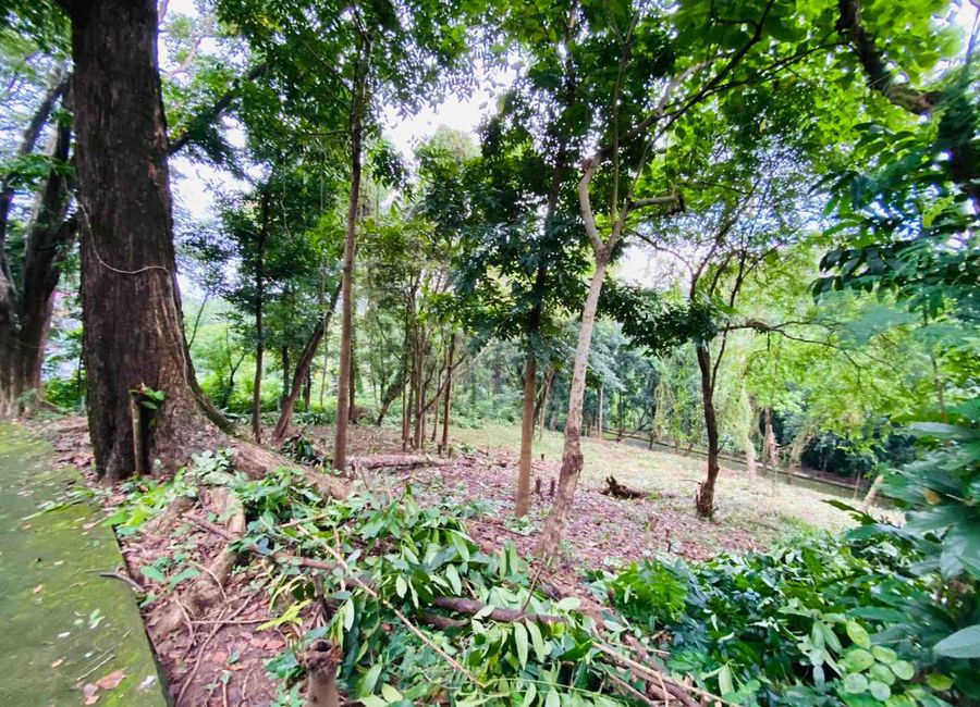 1099SQM RESIDENTIAL LOT; TOWN & COUNTRY ESTATES ANTIPOLO CITY FOR