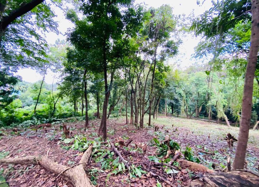 1099SQM RESIDENTIAL LOT; TOWN & COUNTRY ESTATES ANTIPOLO CITY FOR