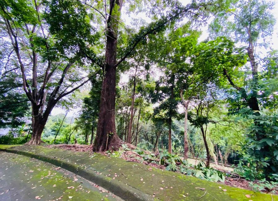 1099SQM RESIDENTIAL LOT; TOWN & COUNTRY ESTATES ANTIPOLO CITY FOR