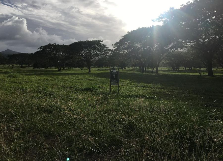 Nuvali Boulevard, Canlubang, Calamba, Laguna