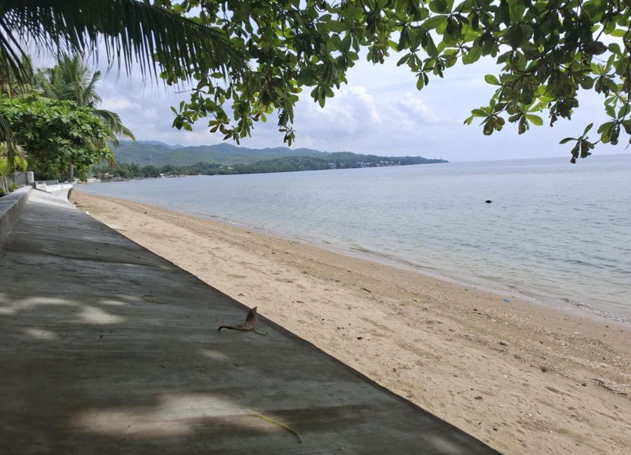place photo 31