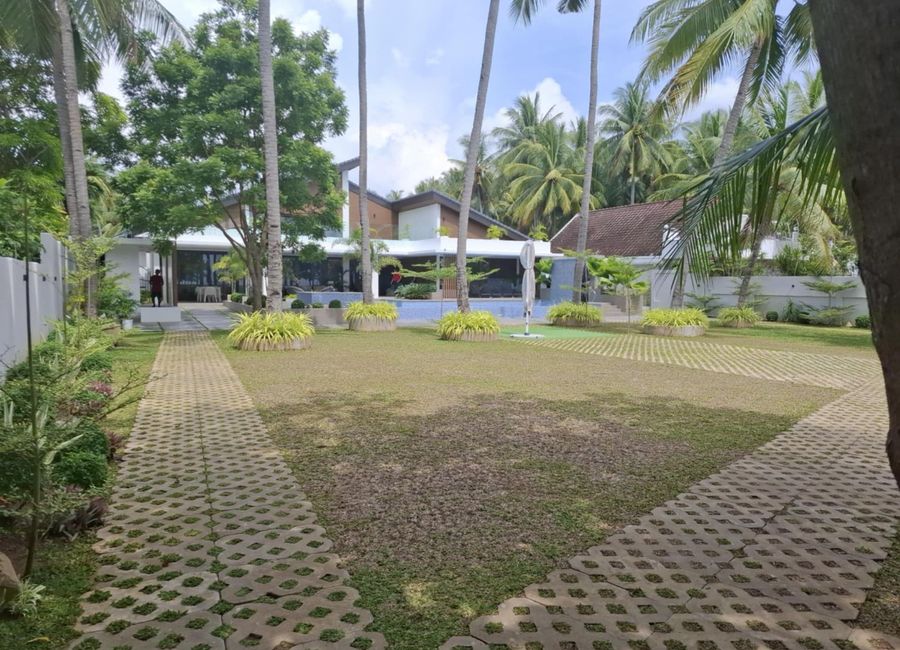 place photo 34