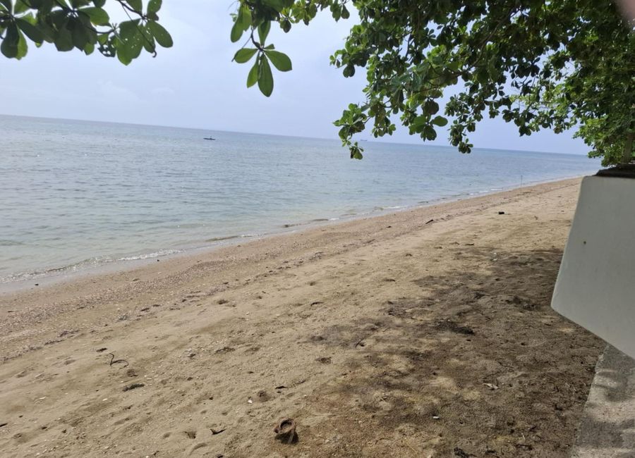place photo 33