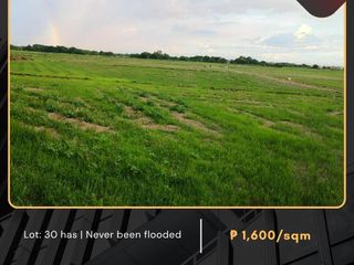For Sale: Agricultural Lot located at Brgy.Dampol Plaridel Bulacan, beside Camella, Northfield Subdivision