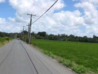 Rice Field Lot for Sale in Pila, Laguna