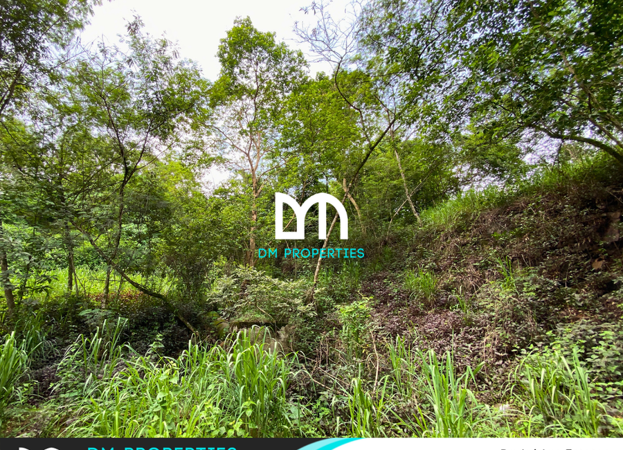 Parkridge Drive, Park Ridge, Santa Cruz, Antipolo, Rizal