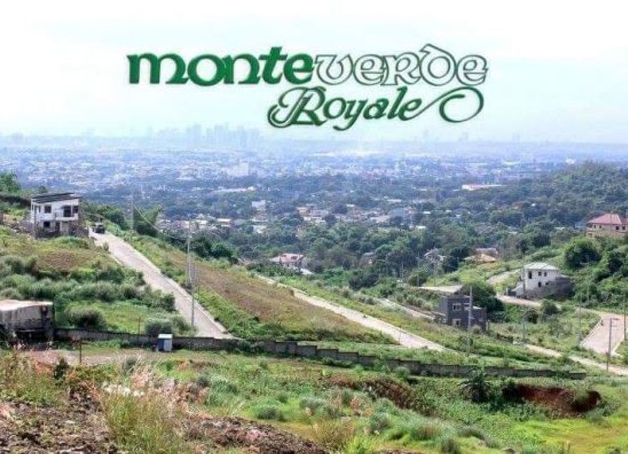 Eagle Dove, Monteverde Royale 1, San Juan, Taytay, Rizal image 2