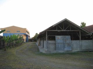 FR/FS Half Hectare Commercial Lot with Buildings along ML Quezon Mandaue