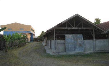 FR/FS Half Hectare Commercial Lot with Buildings along ML Quezon Mandaue