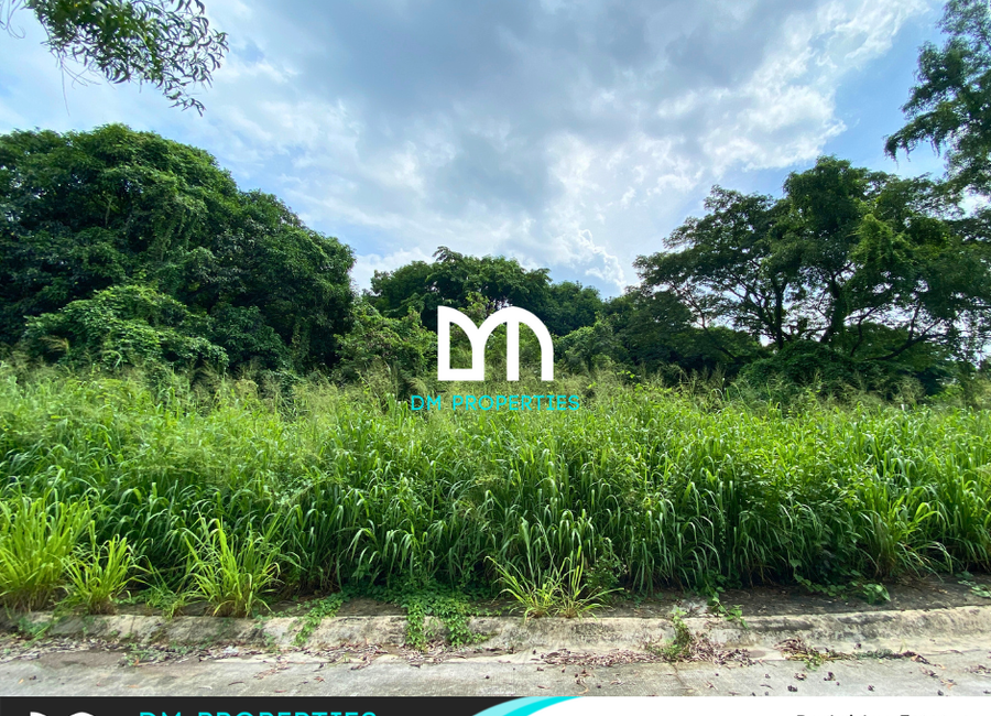 Parkridge Drive, Park Ridge, Santa Cruz, Antipolo, Rizal