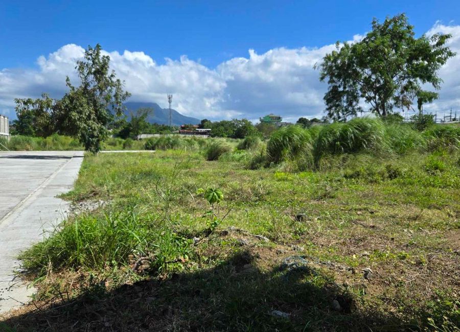 Batino, Calamba, Laguna image 3